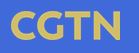 Burkhard Philipp von Harder / CGTN / GREAT PYTHAGORAS - NFT ENCRYPTED ART EXHIBITION